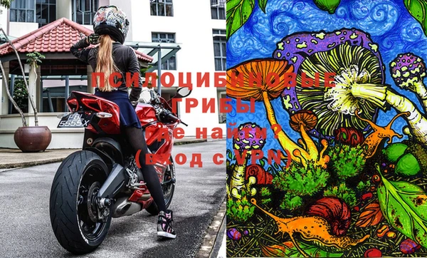 эйфоретик Аркадак