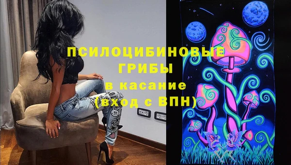эйфоретик Аркадак