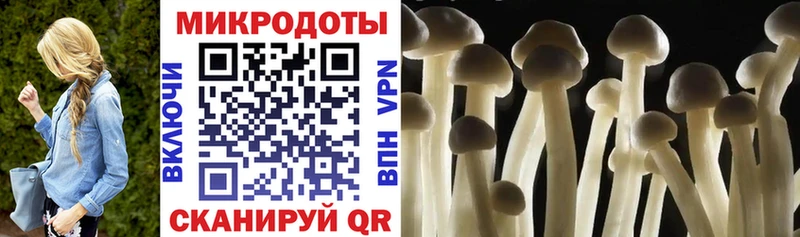 Галлюциногенные грибы прущие грибы  Сольвычегодск 